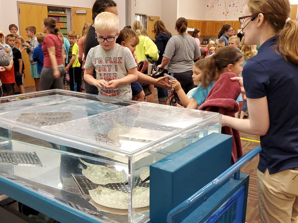 Mississippi River Sting Ray Touchies.jpg